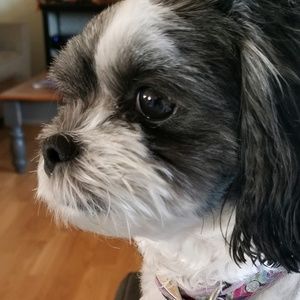 Meet your Posher, Deb